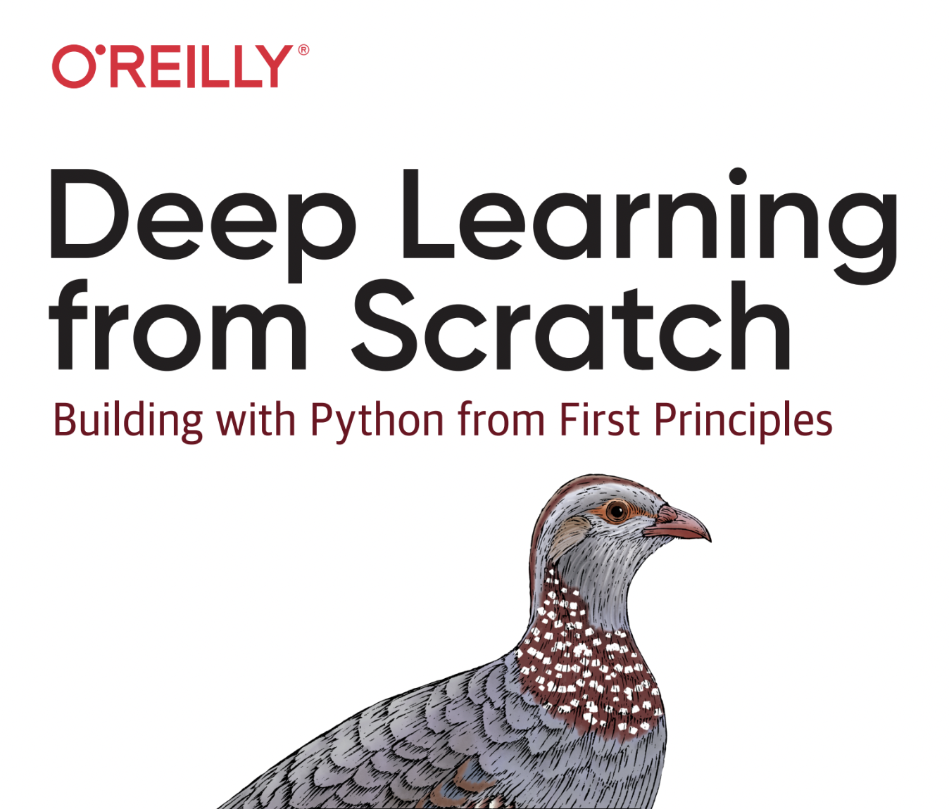 Deep Learning From Scratch